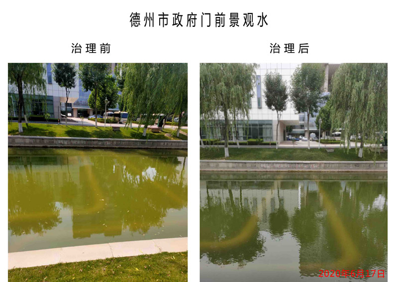 德州市政府门前景观水污染治理